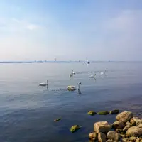 Rezervácia Vtáčí raj v Gdansku