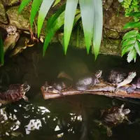 Botanická zahrada Teplice
