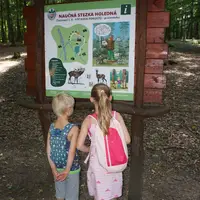 Obora Holedná s rozhlednou