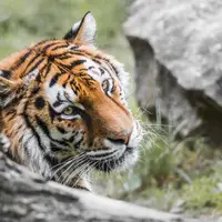 Zoo Krakov