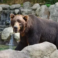 Zoo Brno