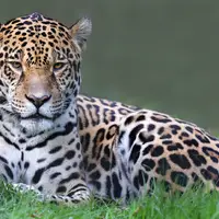 Bratislavská zoologická záhrada