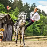 Areál Šikland (Šiklův mlýn)