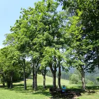 Stezka Via Piette