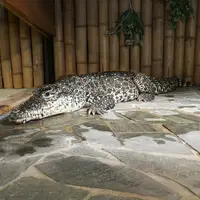 Krokodýlí zoo Praha