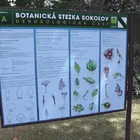 Botanická stezka Sokolov