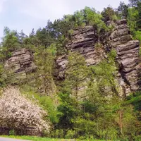 Bohuňovské skály