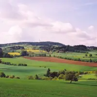 Rozhledna na Horním lese