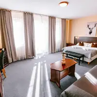 Studio Superior (38 m²)