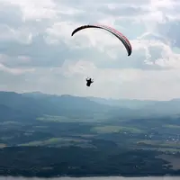 Straník