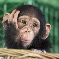 Zoo Spišská Nová Ves