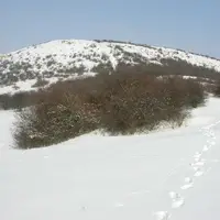 Stolová hora Pálava