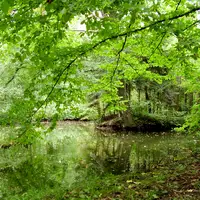 Arborétum, Sárvár
