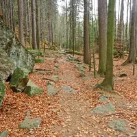 Chcete jít k vodopádu pěšky? Neberte s sebou kočárky ani odrážedla. Cesta není náročná, jen vede zčásti lesem přes kořeny a kameny. 