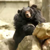 Zoo Debrecen