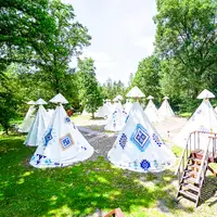 Stan Tipi