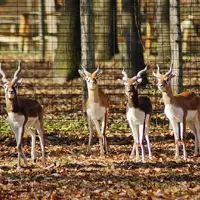 ZOO Miskolc