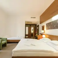 Junior Suite (45 m²)