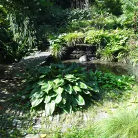 Jablunkovské arboretum