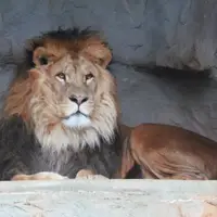 Zoo Olomouc - Svatý Kopeček