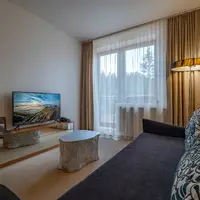Jednoizbový apartmán Deluxe (45 m²)