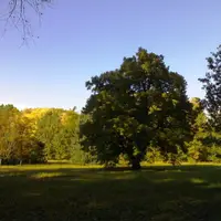 Zookoutek a arboretum Vysoké Chvojno