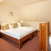 Rodinný pokoj Deluxe (43 m²)