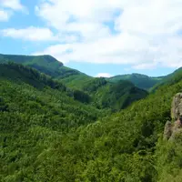 Šimonka