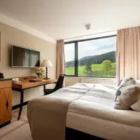 Deluxe Queen Room (20 m²)