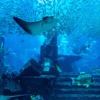 Největší akvárium světa