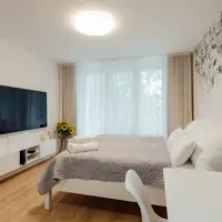 Jednopokojový apartmán s balkonem