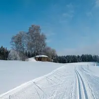 Běžkařská trať v Branné