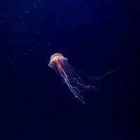 Gardaland SEA LIFE Aquarium