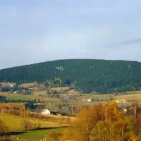 Javorník