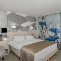 Dvoulůžkový pokoj Premium (24 m²)