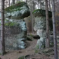 Skalne Grzyby