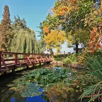 Arboretum Bílá Lhota