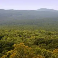 Chránený areál Jelenská gaštanica