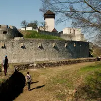 Lesopark Brezina