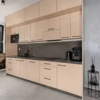 Apartmán s 1 spálňou a terasou