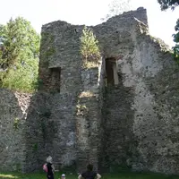 Svojšice