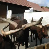 ZOO Vyškov