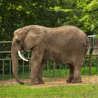 Zoo Gdansk Oliwa