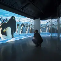 Digitálna galéria Poliankovo