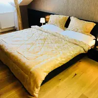 Zámek CLASSIC (19 m²)