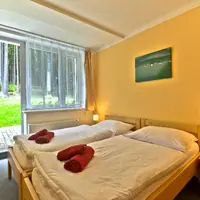 Dvoulůžkový pokoj s výhledem do lesa
