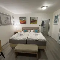 A1