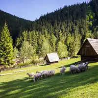 Čutkovská dolina