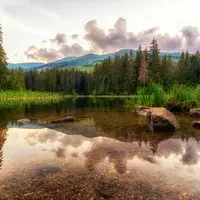 Vrbické pleso