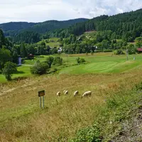 Kulíškova naučná stezka